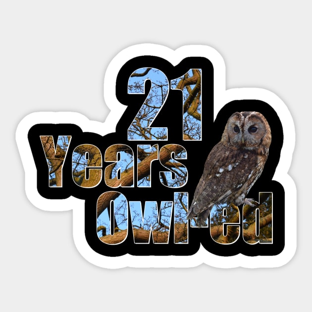 21 years owl-ed (21 years old) 21st birthday Sticker by ownedandloved